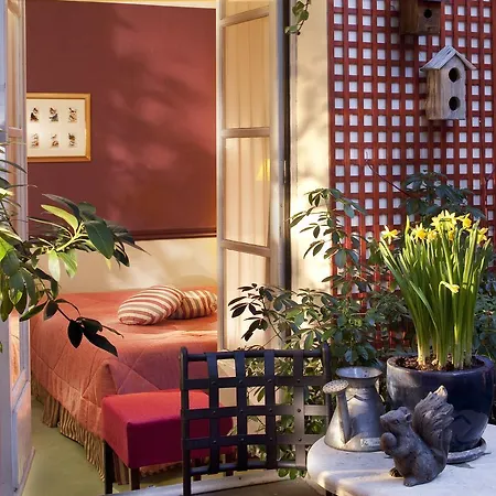 D'albion Paris